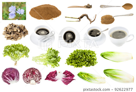 various foods and drinks from endive and chicory various foods and drinks from endive and chicory 92622977