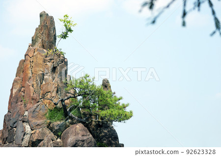 rocky mountain and pine trees rocky mountain and pine trees 92623328