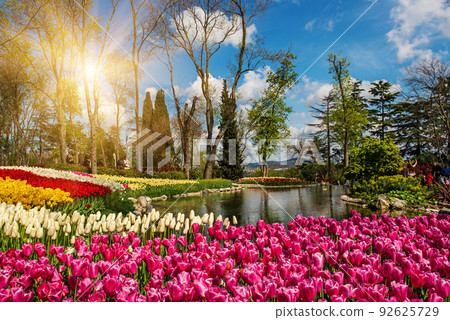 Emirgan Park, Istanbul 92625729