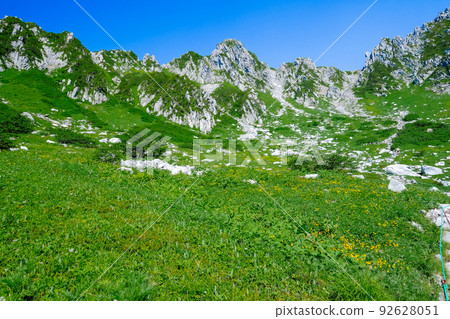 Senjojiki Karl and Treasure Mountain 92628051