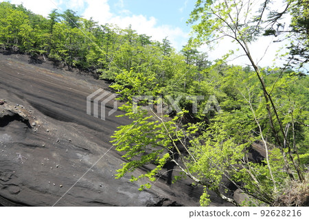 日本大峽谷 92628216