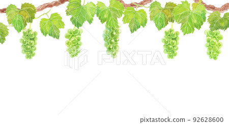 Analog watercolor grape (muscat) top position 2 Analog watercolor grape (muscat) top position 2 92628600