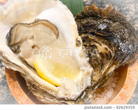 Rocks from the islands of Shimane and Okinoshima 92629359