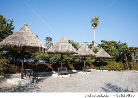 Gangneung Jeongdongjin Beach Scenery Gangneung Jeongdongjin Beach Scenery 92629950