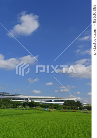 橫濱青葉交流 橫濱青葉交流 92630868