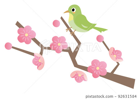 Plum blossom and white-eye 92631584