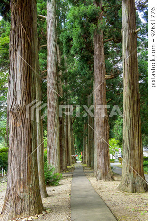 Karamatsu Shrine Suginamiki Akita Prefecture 92631776