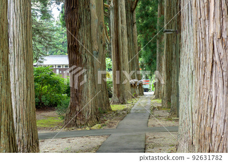 Karamatsu Shrine Suginamiki Akita Prefecture Karamatsu Shrine Suginamiki Akita Prefecture 92631782