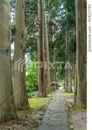 Karamatsu Shrine Suginamiki Akita Prefecture 92631785