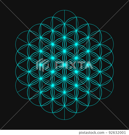 Geometric pattern Fractal pattern Mandala colorful icon Geometric pattern Fractal pattern Mandala colorful icon 92632001