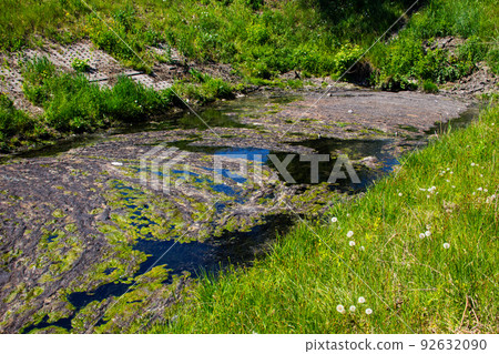 Water drain in the canal. Green algae in water surface.  Environmental pollution 92632090