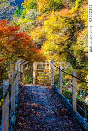 大柳川峽谷(秋季):龍門橋 大柳川峽谷(秋季):龍門橋 92632391