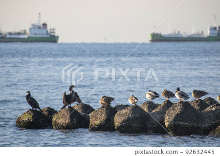 quiet beach in the evening 92632445