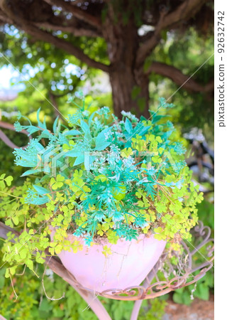 復古盆栽中的綠色和黃綠色植物 復古盆栽中的綠色和黃綠色植物 92632742