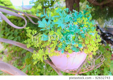 復古盆栽中的綠色和黃綠色植物 復古盆栽中的綠色和黃綠色植物 92632743