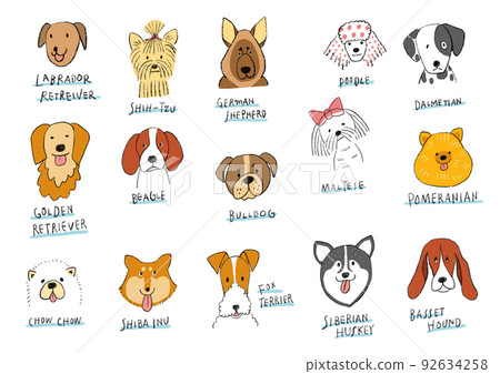 Hand-drawn pet illustrations with a gentle touch Various dog breeds 92634258