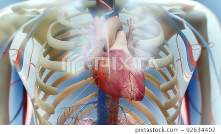Heart failure means that the heart is unable to pump blood around the body properly. Heart failure means that the heart is unable to pump blood around the body properly. 92634402