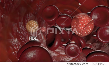 High-density lipoprotein (HDL) cholesterol High-density lipoprotein (HDL) cholesterol 92634429