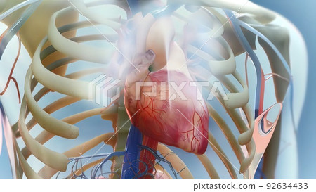 Heart failure means that the heart is unable to pump blood around the body properly. Heart failure means that the heart is unable to pump blood around the body properly. 92634433