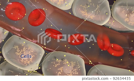 Damage to the kidneys as a result of high potassium levels in the blood. Damage to the kidneys as a result of high potassium levels in the blood. 92634435