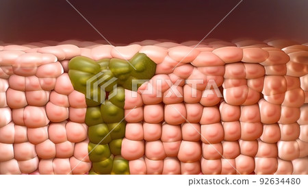 Human immune system virus 3d 92634480