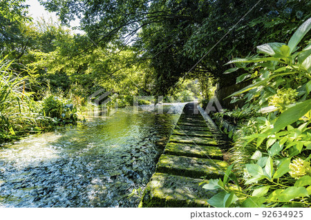 Beautiful flow and promenade of the Genbei River flowing in Mishima City, Shizuoka Prefecture 92634925