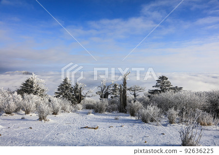 德裕山國立公園山頂的冬季雪景 92636225