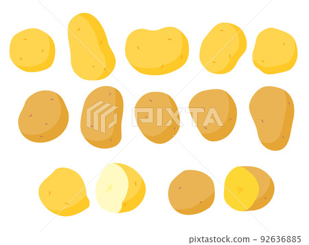 Vegetable illustration variety set potato 92636885
