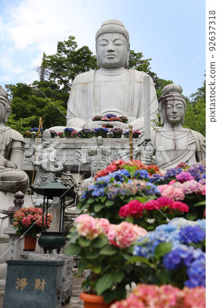 奈良縣坪坂寺 92637318