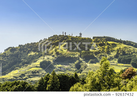 Tea plantation in Higashiyama, Kakegawa City, Shizuoka Prefecture Tea plantation in Higashiyama, Kakegawa City, Shizuoka Prefecture 92637432