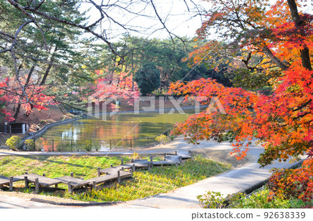 Autumn leaves in east park 92638339