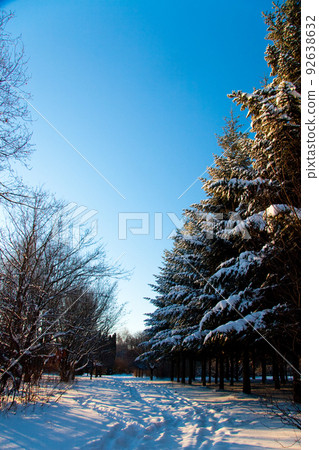 Photo the snow-covered river did not freeze in winter.The river flows in winter. Snow on the branches of trees. Reflection of snow in the river. Huge snowdrifts lie on the Bank of the stream. Photo the snow-covered river did not freeze in winter.The river flows in winter. Snow on the branches of trees. Reflection of snow in the river. Huge snowdrifts lie on the Bank of the stream. 92638632