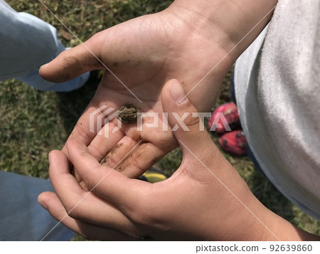 小手的孩子手蛙 92639860