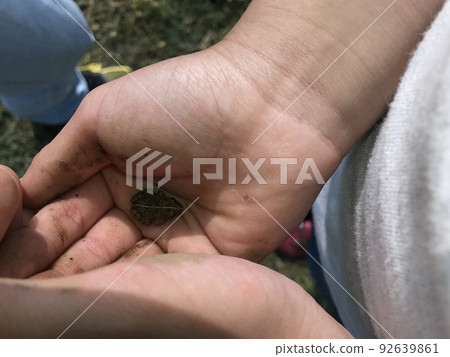 小手青蛙手的孩子 92639861