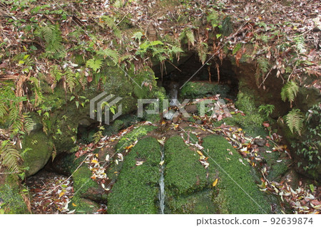 water that springs up from the ground 92639874