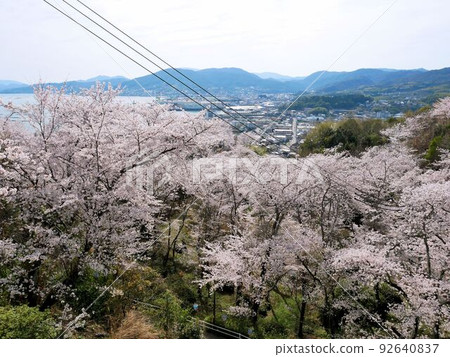 Akitsu seen from Shofukujiyama Park (Akitsu-cho, Higashi-Hiroshima City, Hiroshima Prefecture) Akitsu seen from Shofukujiyama Park (Akitsu-cho, Higashi-Hiroshima City, Hiroshima Prefecture) 92640837