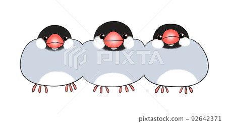 普通麻雀 92642371