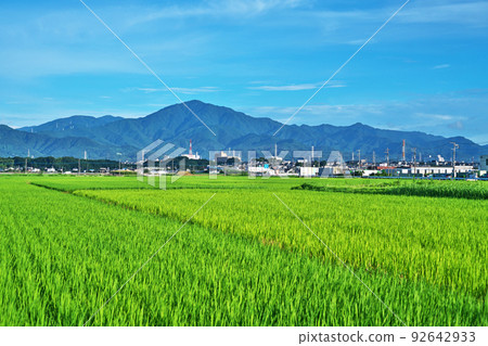 丹澤山脈美麗的稻田和山脈（夏季、7 月） 92642933