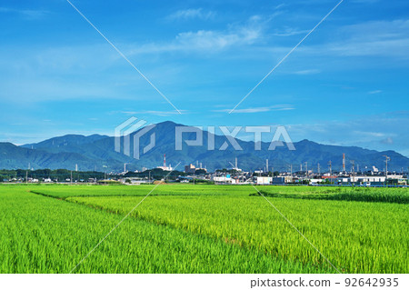 丹澤山脈美麗的稻田和山脈（夏季、7 月） 92642935
