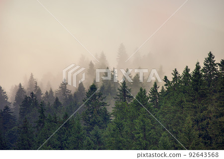 Misty mountain landscape Misty mountain landscape 92643568