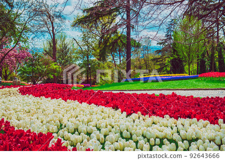 Emirgan Park, Istanbul Emirgan Park, Istanbul 92643666