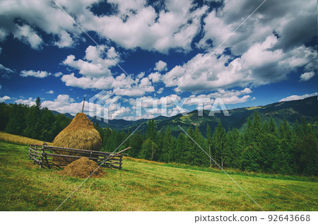 Summer mountain landscape Summer mountain landscape 92643668