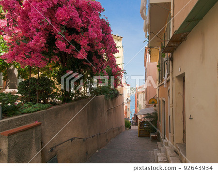 Pink bougainvillea in a narrow street by the sea in Villefranche-sur-Mer on the French Rivier Pink bougainvillea in a narrow street by the sea in Villefranche-sur-Mer on the French Rivier 92643934