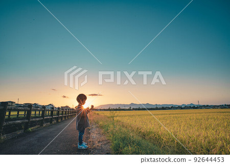 秋夜收割前，一個孩子在稻田前捉蜻蜓 92644453