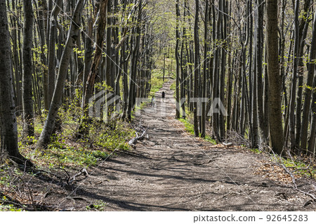 Tourist people, Klak hill, Slovakia 92645283