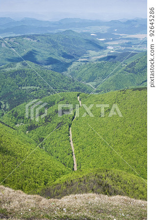 Deciduous forest from Klak hill, Slovakia, landscape scene 92645286