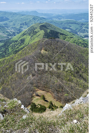 Deciduous forest from Klak hill, Slovakia, landscape scene 92645287