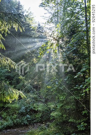 Sunny morning in Janosik Holes, Little Fatra, Slovakia 92645295