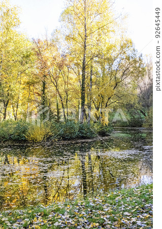 Autumn scenery in arboretum Tesarske Mlynany, Slovakia Autumn scenery in arboretum Tesarske Mlynany, Slovakia 92645449