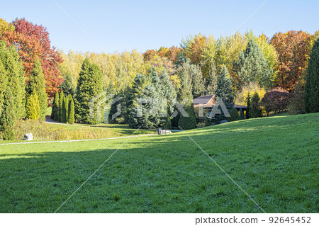 Autumn scenery in arboretum Tesarske Mlynany, Slovakia 92645452